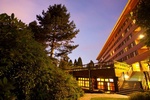  Disney Hotel Sequoia Lodge®: Offre exclusive pour les abonnés Disney+ 
