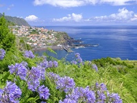 Madère - Circuit « Joyaux de Madère & Hôtel Do Centro 3* »