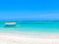 Club Jumbo Vista Sol Punta Cana Beach Resort & Spa 4*