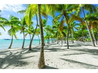 Croisière aux Caraïbes à bord du Costa Favolosa