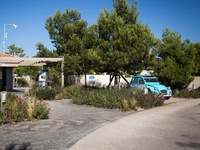 Camping Ile aux Oiseaux, 3*