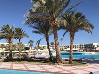 Hôtel Pharaoh Azur Grand Resort 4*