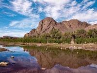 Circuit Camel Express en Riad de Charme