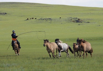 Mongolie - Circuit Vie Nomade entre Montagnes Sacrées et Plaines Infinies