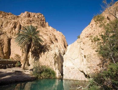 Combiné circuit et hôtel Circuit Plage au Framissima Golf Beach Djerba et désert de Tozeur ****
