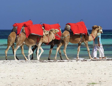 Circuit La Rose des Sables, à la découverte du Grand Sud de la Tunisie