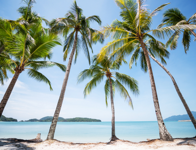 De Kuala 3* aux sables de Langkawi 4*