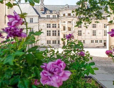 Séjour en studio avec visite du château de Blois - 2*