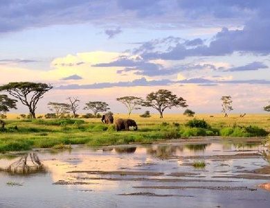 Safari Féeries d'Afrique - inclus Amboseli, Lac Nakuru et Masaï Mara