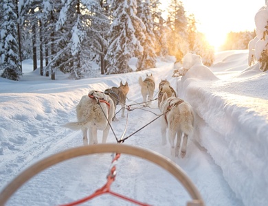 Séjour liberté en Laponie - Scandic