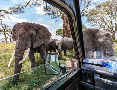 Circuit Safari entre grands parcs et lacs du nord de la Tanzanie