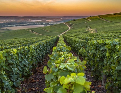 Séjour avec petit-déjeuner, et visite de cave de Champagne - 4*