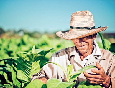 Circuit Parfums de Cuba