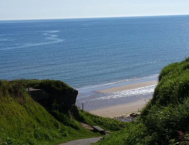Flower - Camping Omaha Beach, 3*