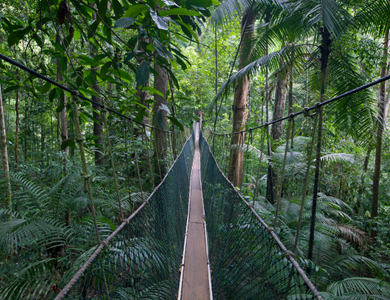 Circuit Malaisie en Liberté, sur les Terres Sauvages de Taman Negara 3*