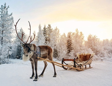 Hôtel Suomutunturi Finlande