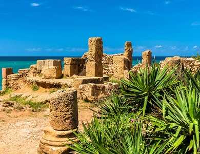 D'Oran à Alger, les routes de l'Histoire
