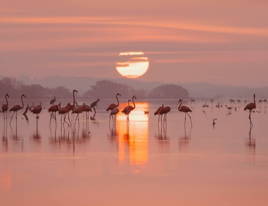 Les Murmures du Yucatán