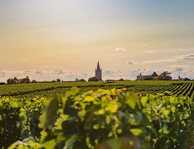 Séjour gourmand dans le centre de Bordeaux avec dîner inclus - 4*