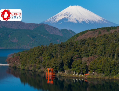 Circuit Capitales Nippones en Liberté, de Kyoto à Tokyo 3* et Ryokan