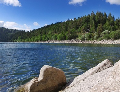 VVF Alsace Orbey Colmar 3* en demi-pension