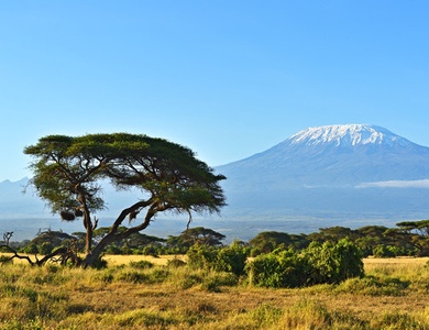 Hôtel Jumbo resort Watamu 4* et Safari 3 nuits
