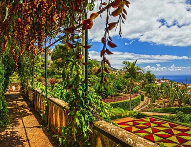Circuit Echappée Jardins de Madère depuis l'hôtel The Views Oasis 4*