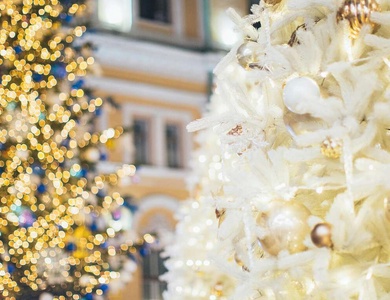 Douce Nuit de Noël : Confort, petit-Déjeuner et Bulles Festives - 4*