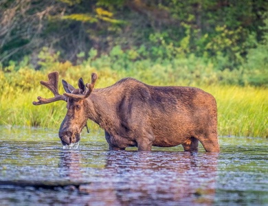 Circuit Grand Angle sur l'Est du Canada