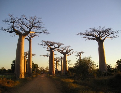Circuit L'île rouge au fil de l'eau