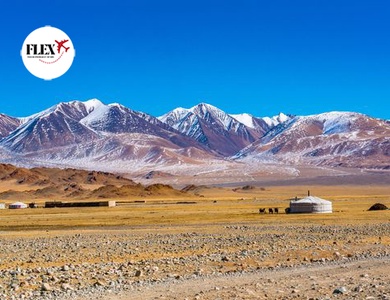 Circuit Immersion en Mongolie 9J/7N