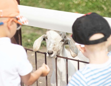 Aventurez-vous au ZooSafari de Thoiry le temps d'un week-end - 4*