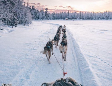 2025/2026 - Multi activités au Québec - L'hiver au Lac Blanc - 40 personnes maximum