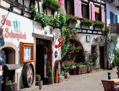 Offre Spéciale : Week-end bien-être à Obernai - 4*