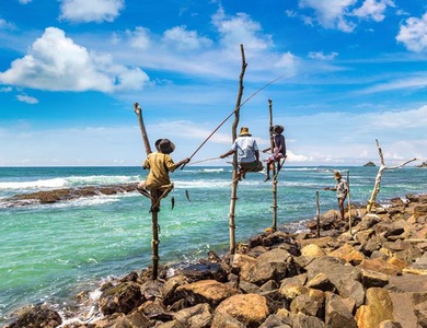 Circuit Merveilles du Sri Lanka