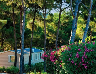 Camping Les Dauphins 3*