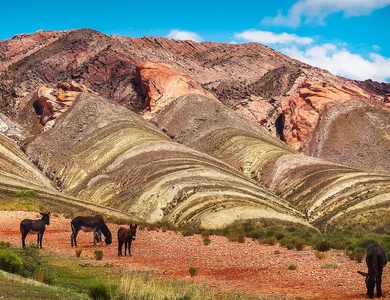 Découverte du nord argentin et d'Iguaçu