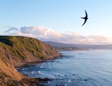 Wecamp Cudillero, 3*