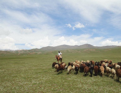 Circuit Grande transhumance automne