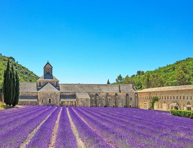 Découverte du Musée de la Lavande à Cavaillon - 3*