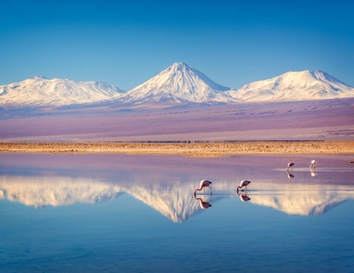 Circuit Découverte du Chili et de l'île de Pâques