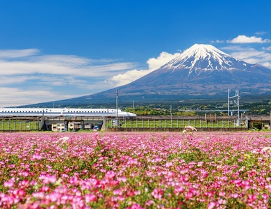 Circuit individuel: Des essentiels au Mont Fuji en 3* ou 4*
