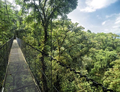 Circuit Découverte et aventure au Costa Rica