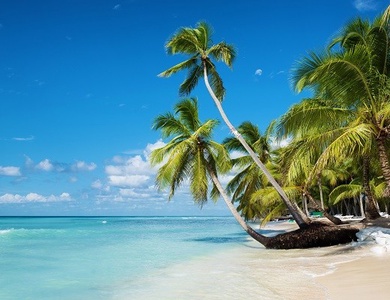 Hôtel Sunscape Coco Punta Cana ****