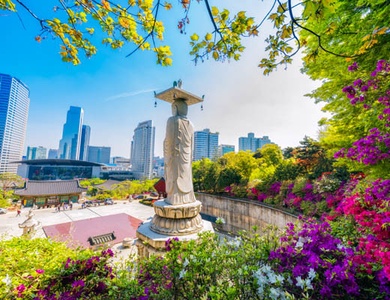 Circuit Éventail des traditions de Corée en liberté 3*