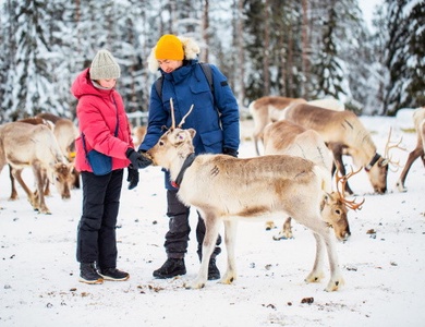 Club Jumbo Santa's Hotel Tunturi Laponie (demi-pension, activités incluses)