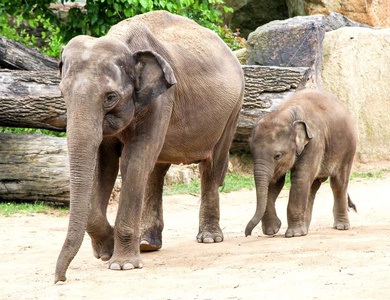 Week-end près de Cassis avec entrées pour Zoo de la Barben - 3*