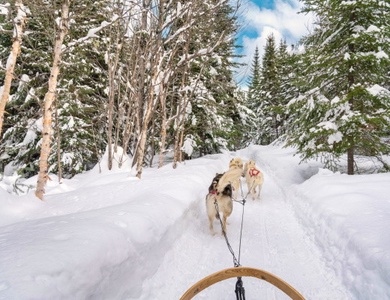 Club Jumbo Tankavaara Gold Village (activités incluses)