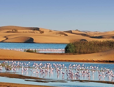Circuit La Namibie, joyau de l'Afrique australe