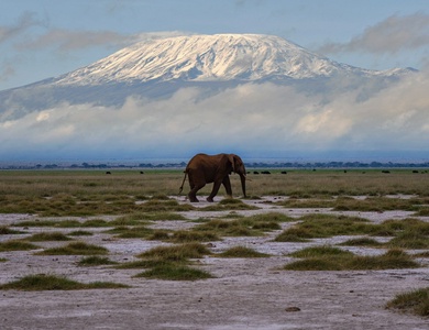 Circuit L'Essentiel du Kenya et séjour hôtel Leopard Beach 4*